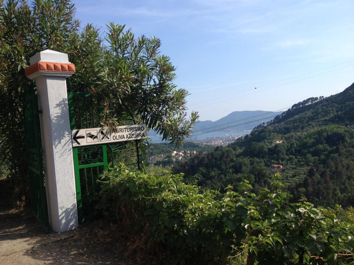 Valeriano Lunense Agriturismo Oliva Azzurraヴィラ エクステリア 写真